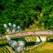 *DA NANG – MARBLE MOUNTAIN – HOI AN – MY SON – BA NA HILLS 5 DAYS 4 NIGHTS FROM 202 USD/PERSON ONLY